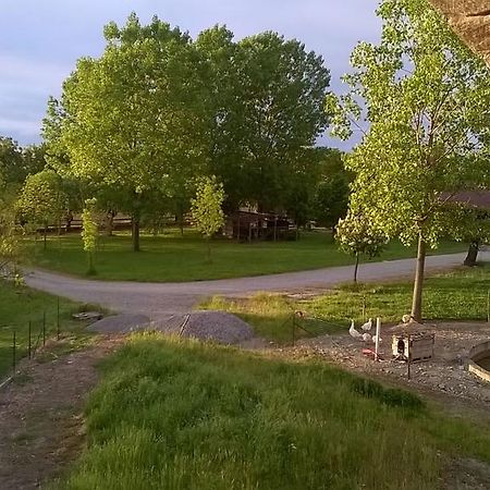 Agriturismo Arte Contadina Fiorenzuola dʼArda Екстериор снимка